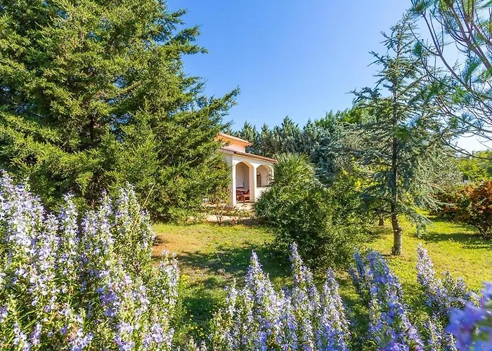 Feriehus House Ondina *